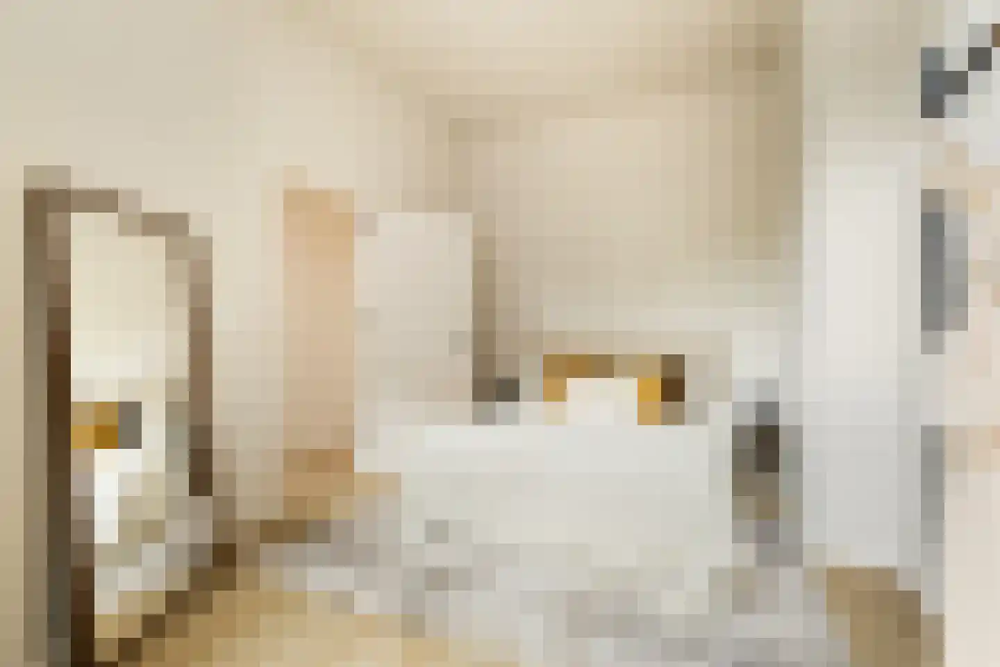 Coornhertstraat 73 Utrecht thumbnail 32
