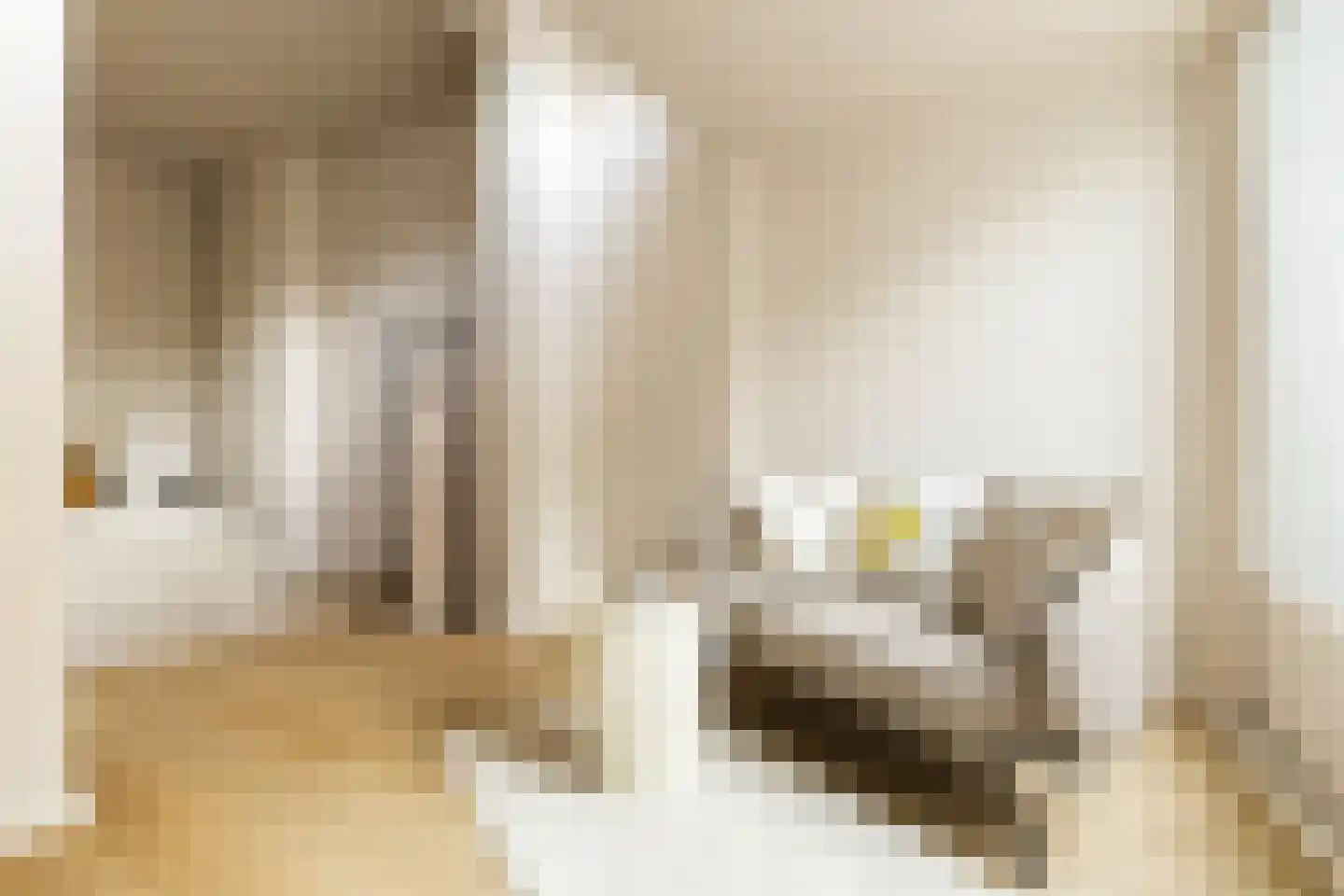 Coornhertstraat 73 Utrecht thumbnail 33