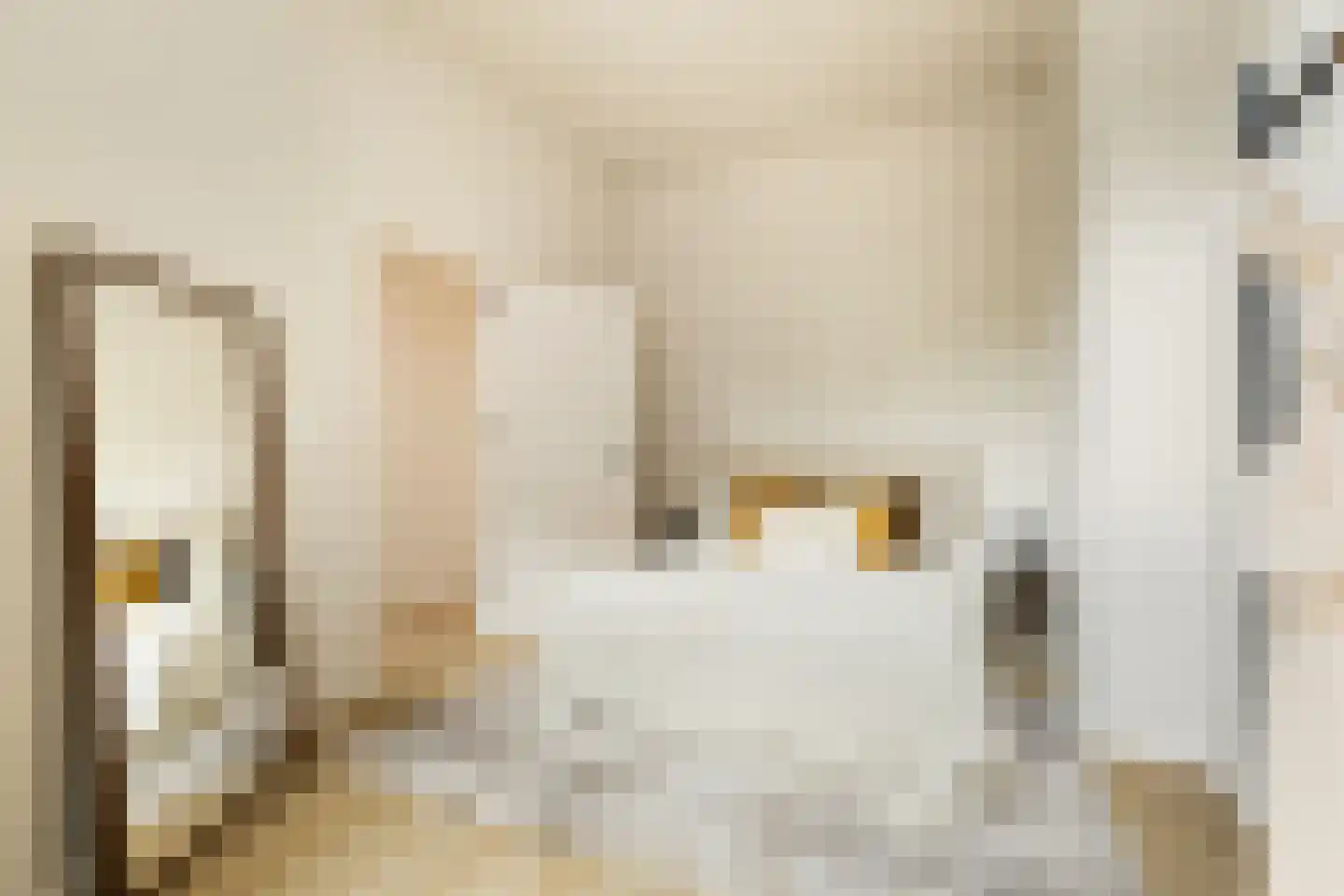 Coornhertstraat 73 Utrecht thumbnail 34
