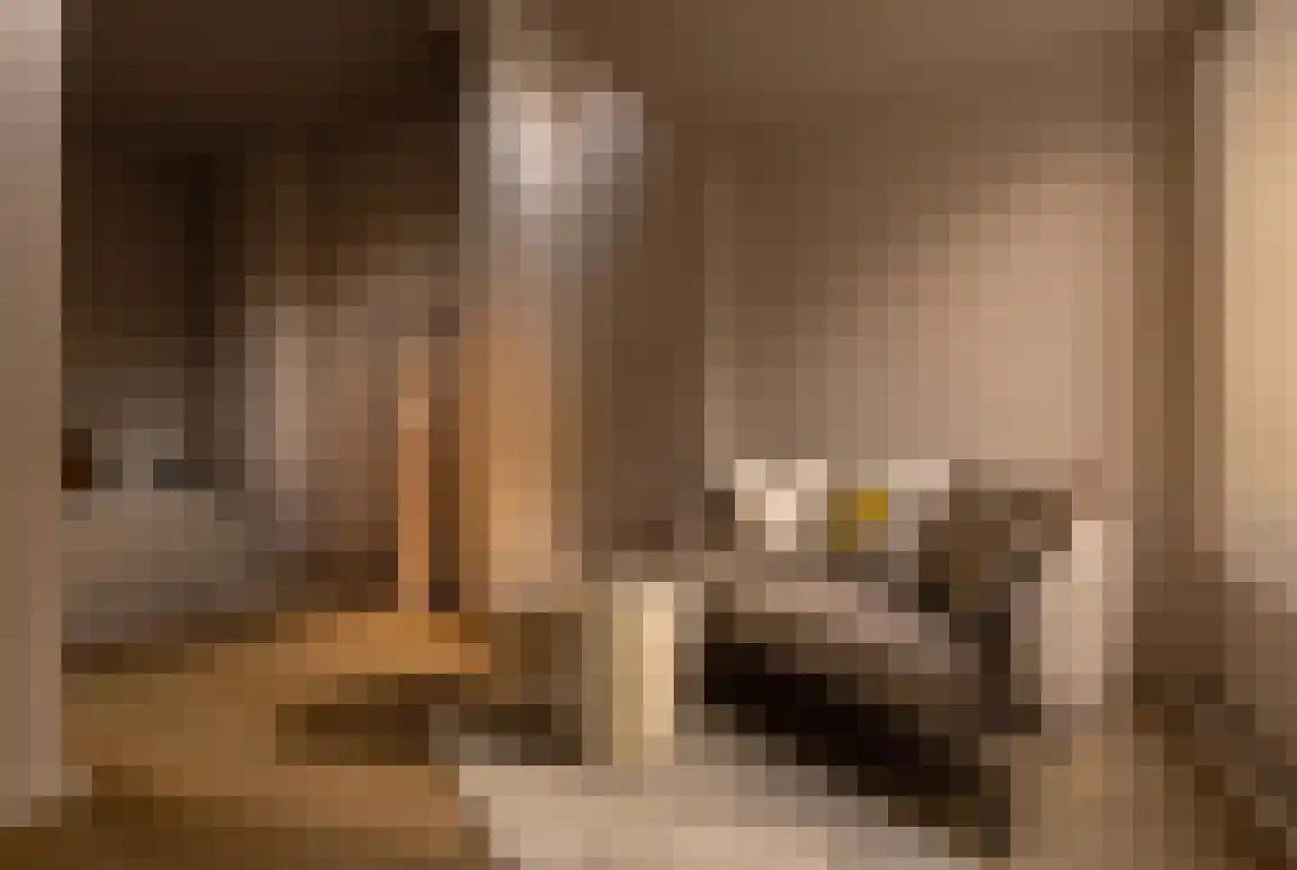Coornhertstraat 73 Utrecht thumbnail 35