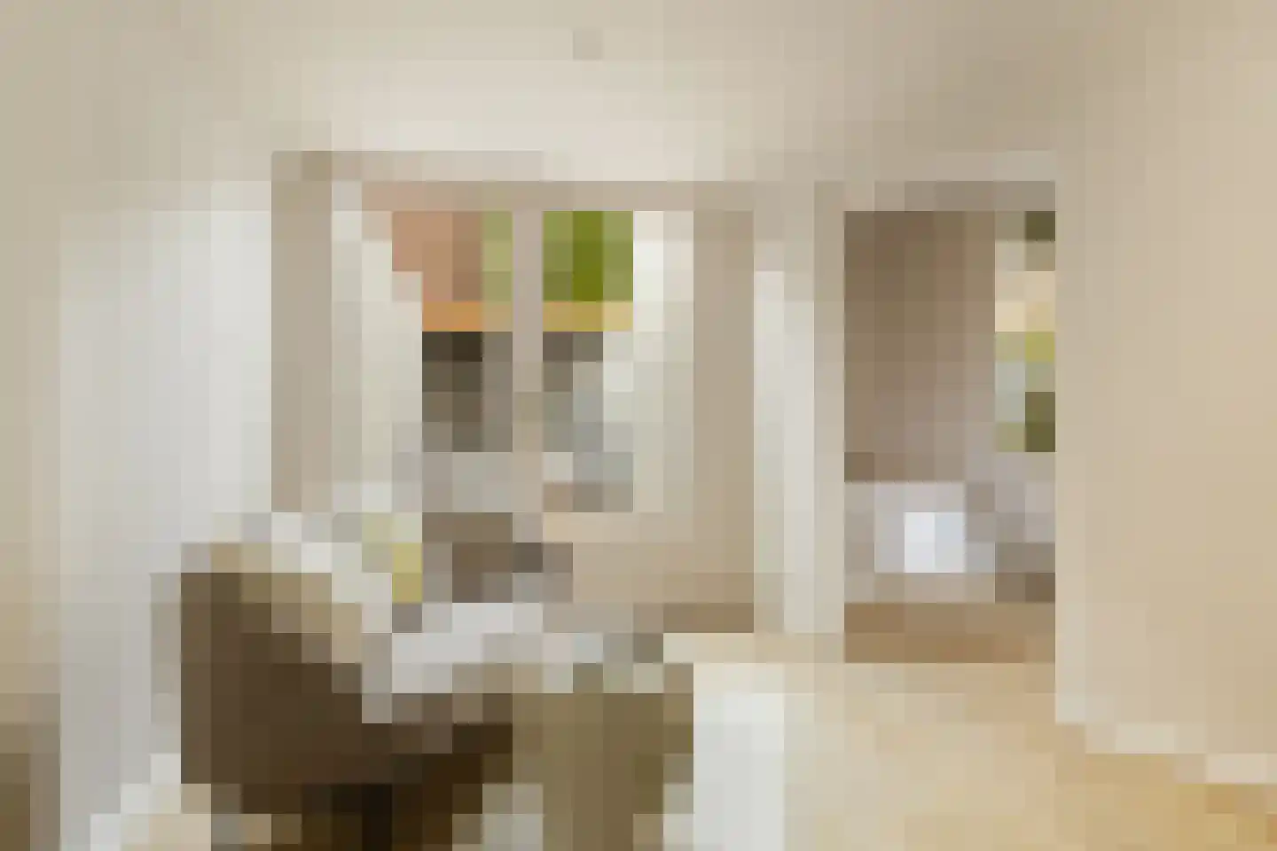 Coornhertstraat 73 Utrecht thumbnail 37