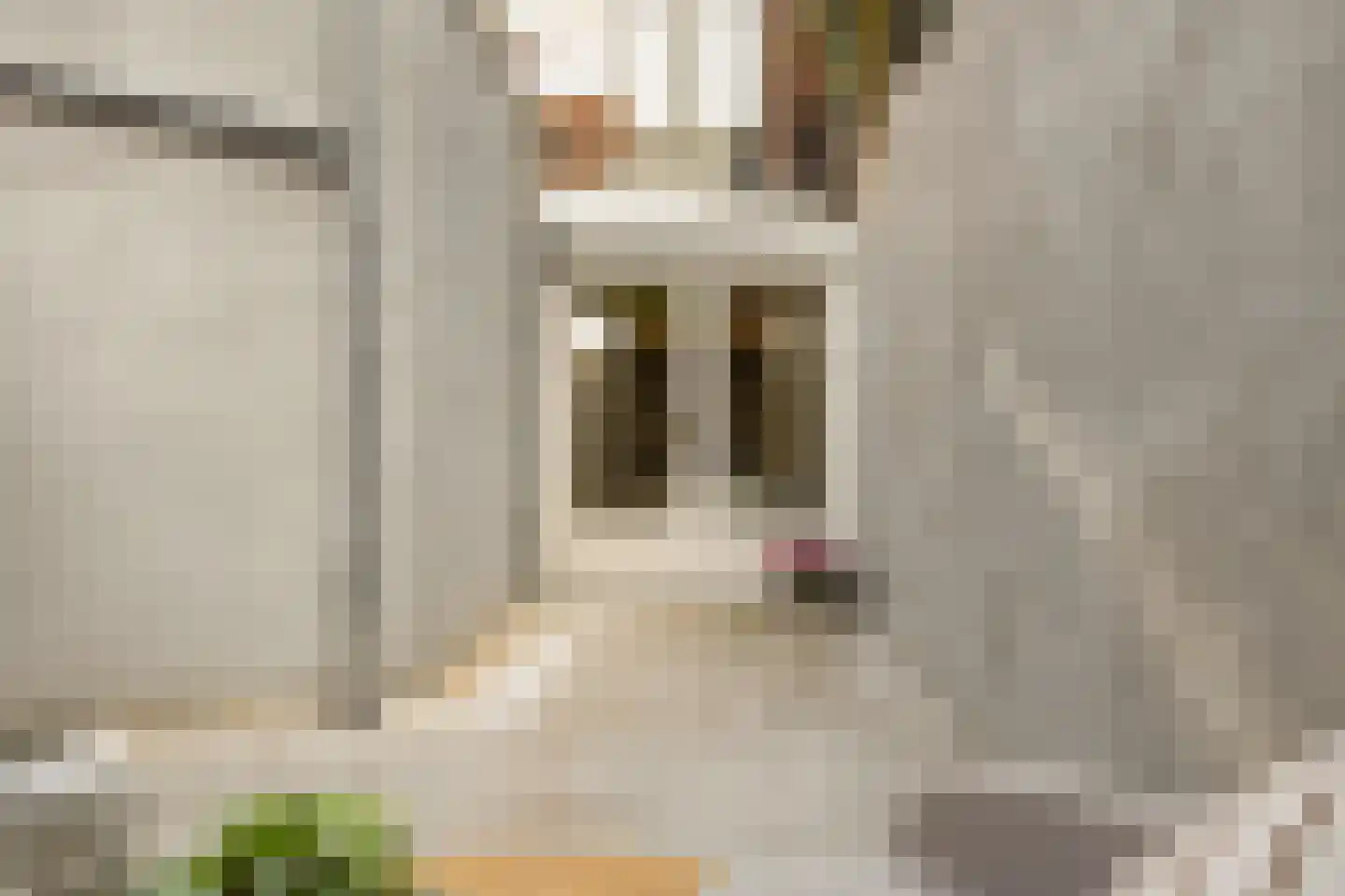 Coornhertstraat 73 Utrecht thumbnail 39