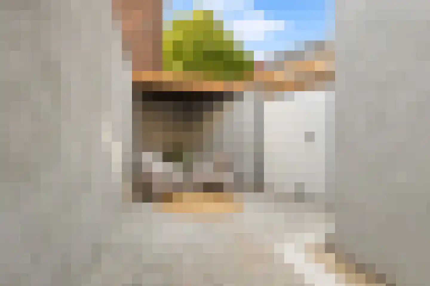 Coornhertstraat 73 Utrecht thumbnail 40