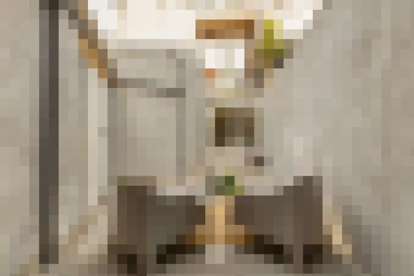 Coornhertstraat 73 Utrecht thumbnail 41