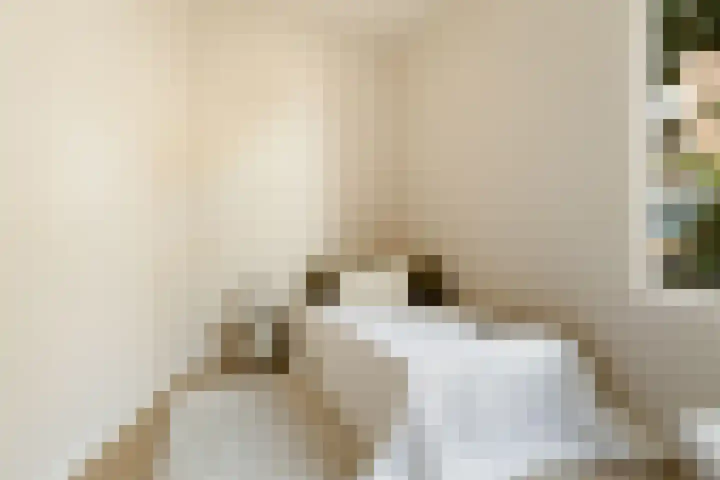 Coornhertstraat 73 Utrecht thumbnail 48