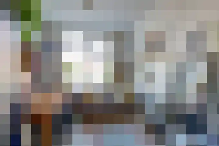 Coornhertstraat 73 Utrecht thumbnail 5