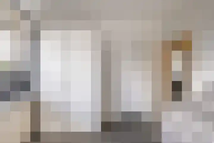 Coornhertstraat 77 Vlaardingen thumbnail 17