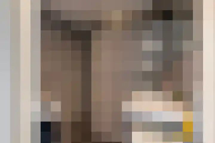Coornhertstraat 77 Vlaardingen thumbnail 18