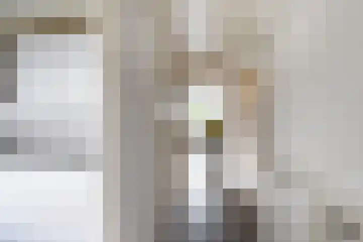 Coornhertstraat 77 Vlaardingen thumbnail 7