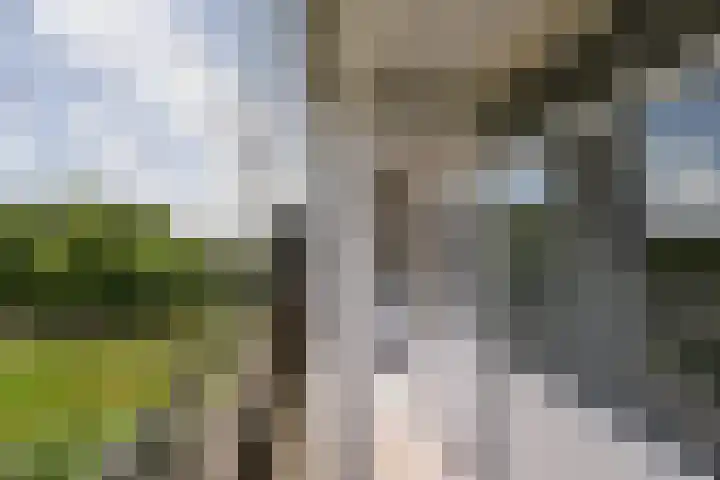 Coornhertstraat 77 Vlaardingen thumbnail 9