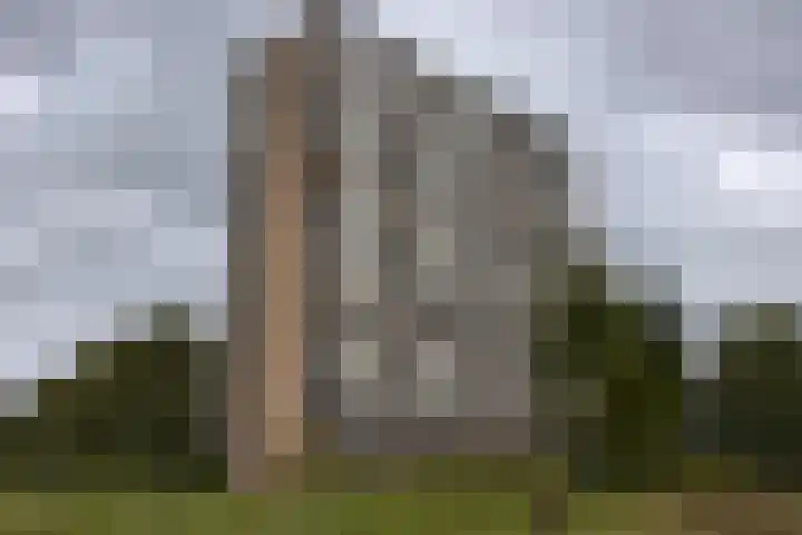 Coornhertstraat 95 Vlaardingen thumbnail 27