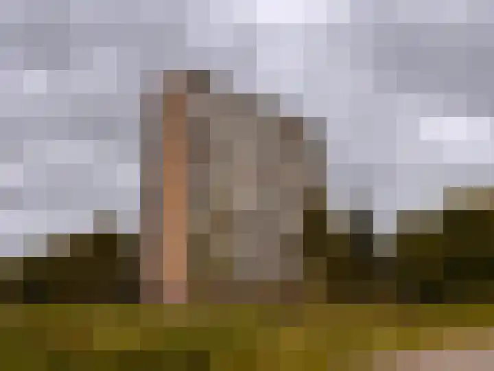 Coornhertstraat 95 Vlaardingen thumbnail 29
