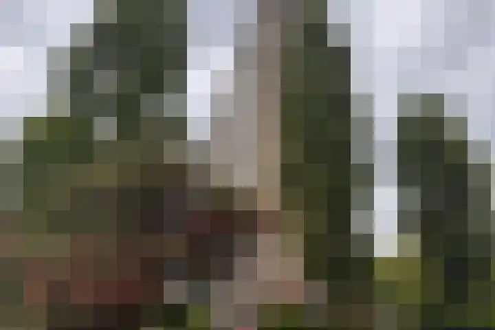 Coornhertstraat 95 Vlaardingen thumbnail 4