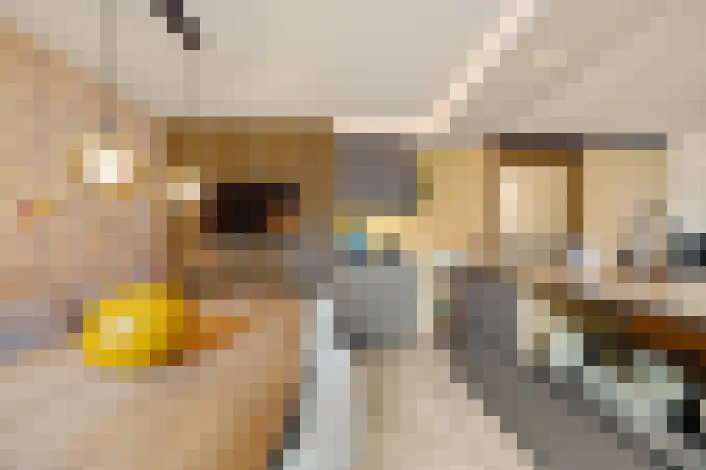Coorninglaan 18 Druten thumbnail 11