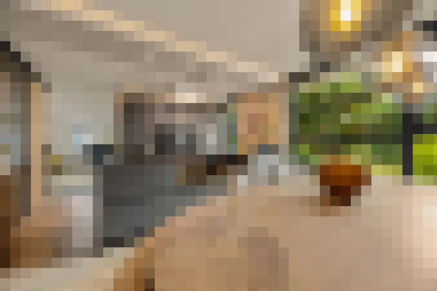 Coorninglaan 18 Druten thumbnail 12