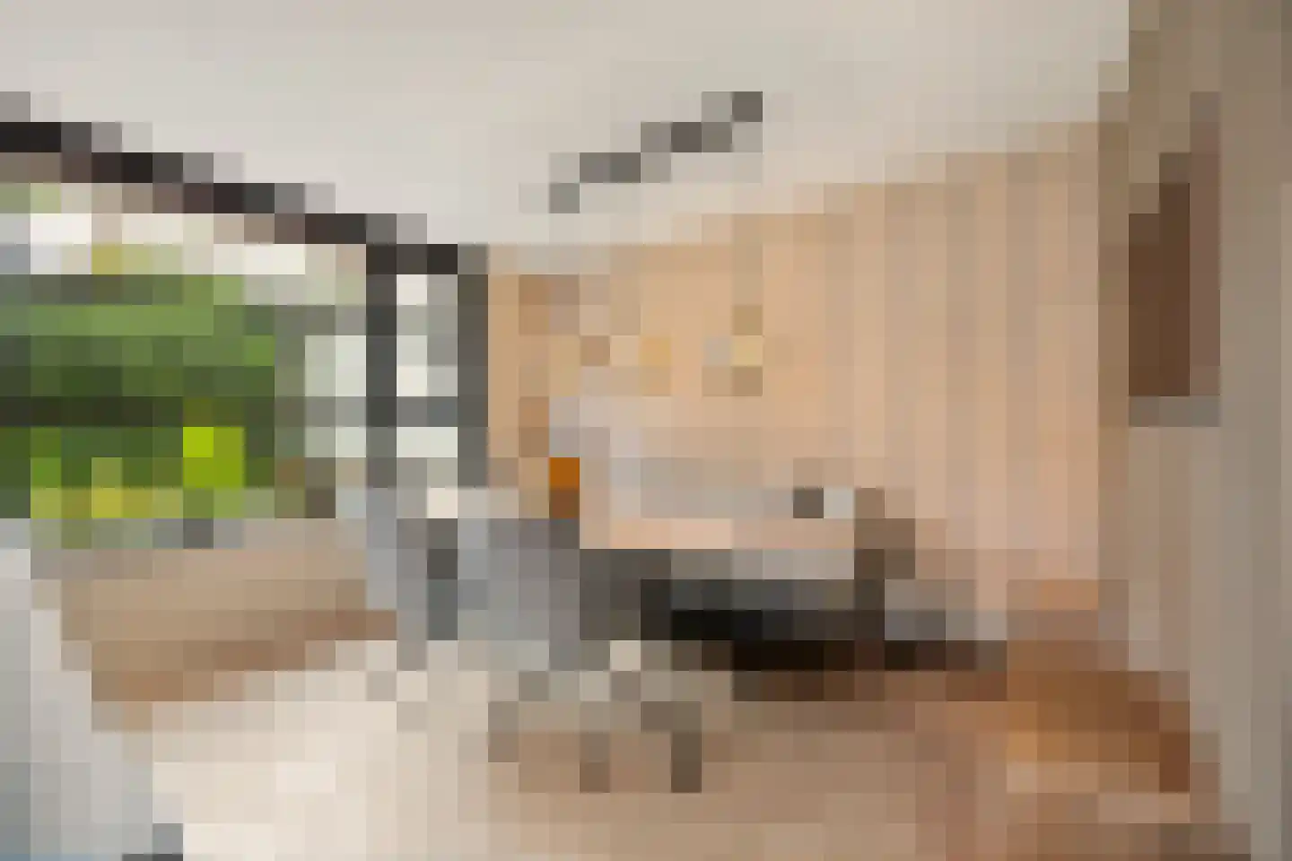 Coorninglaan 18 Druten thumbnail 13
