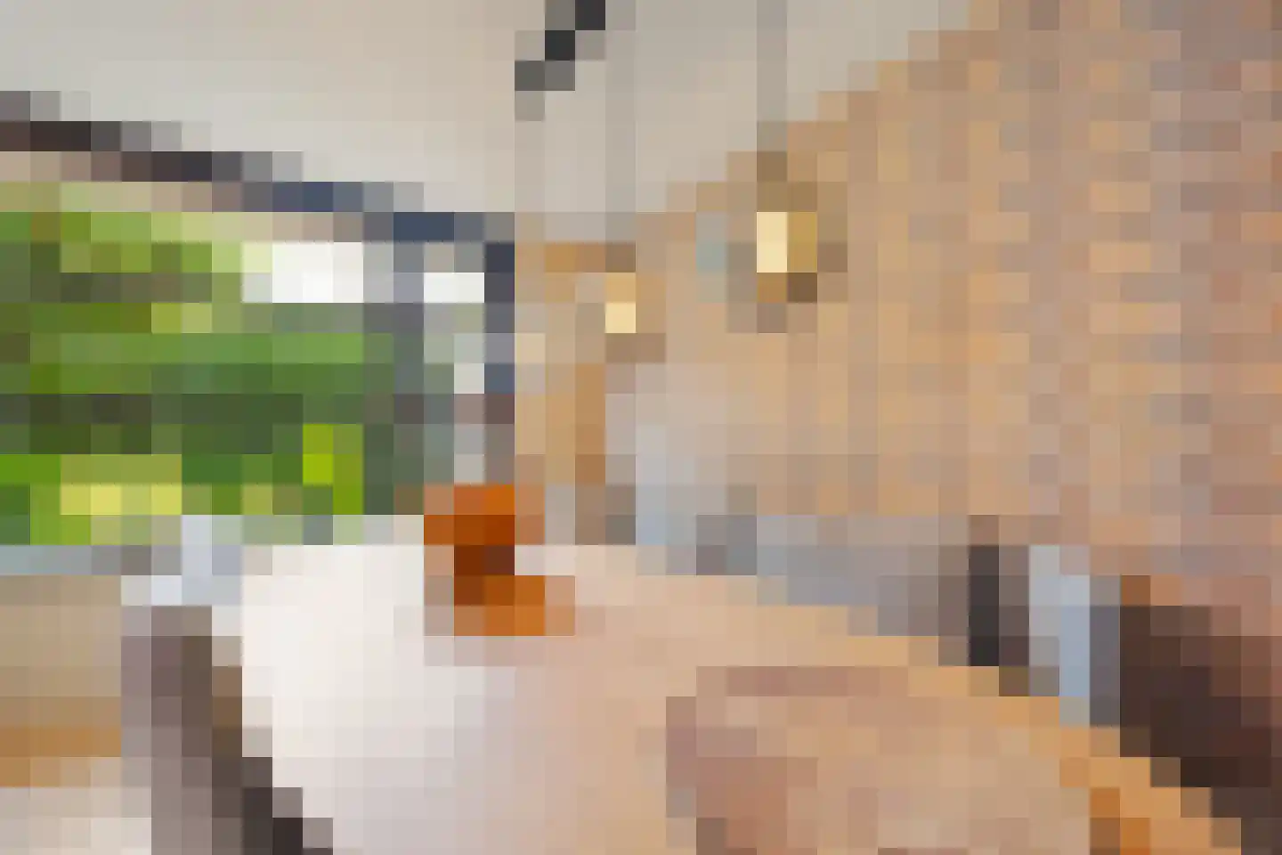 Coorninglaan 18 Druten thumbnail 14