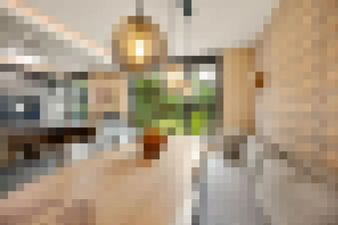 Coorninglaan 18 Druten thumbnail 15
