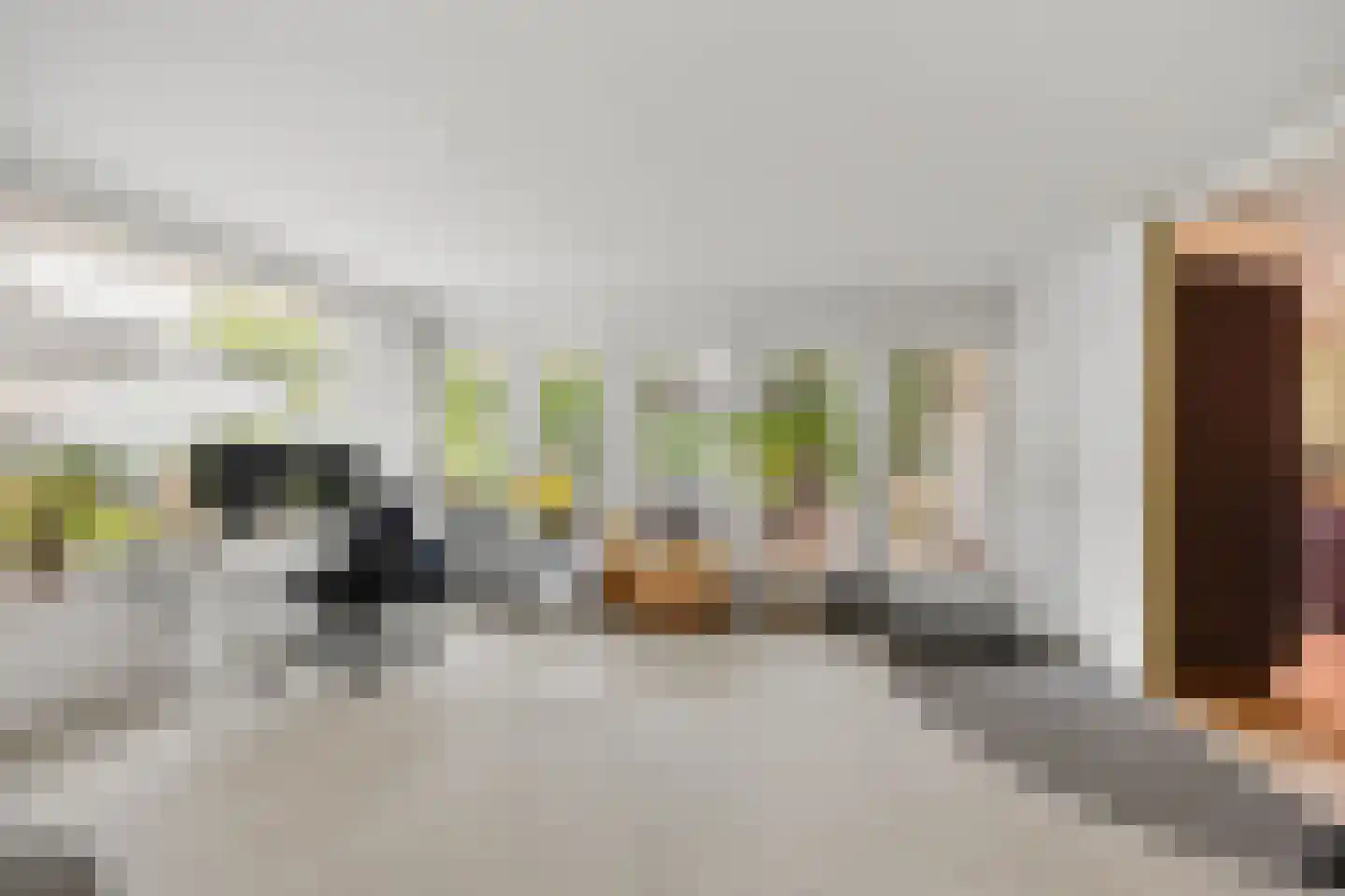 Coorninglaan 18 Druten thumbnail 16
