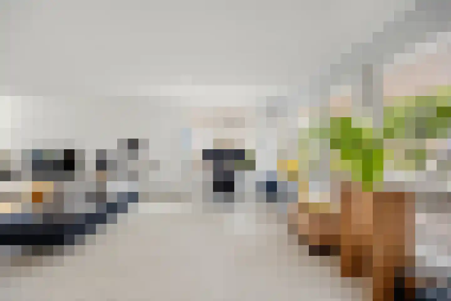 Coorninglaan 18 Druten thumbnail 17