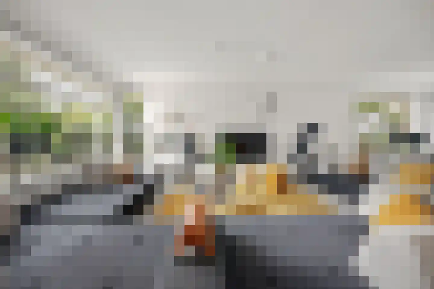 Coorninglaan 18 Druten thumbnail 20