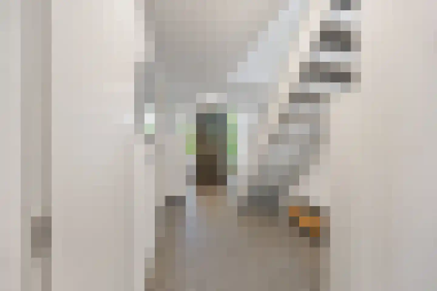 Coorninglaan 18 Druten thumbnail 24