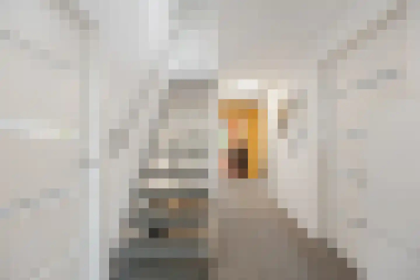 Coorninglaan 18 Druten thumbnail 25