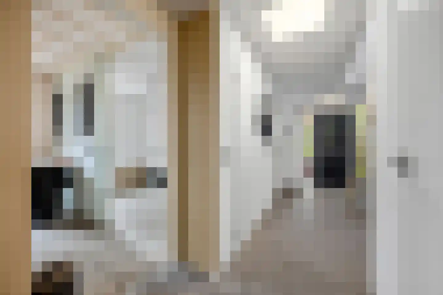 Coorninglaan 18 Druten thumbnail 26