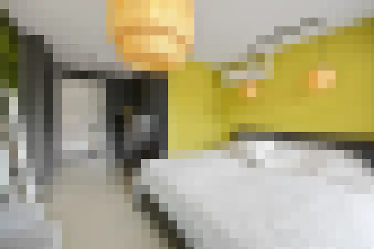 Coorninglaan 18 Druten thumbnail 30