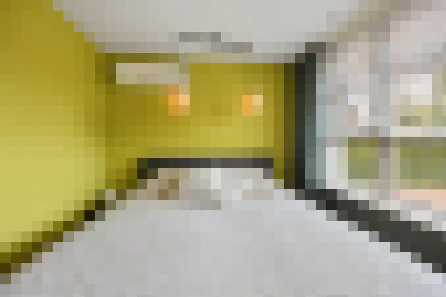 Coorninglaan 18 Druten thumbnail 31