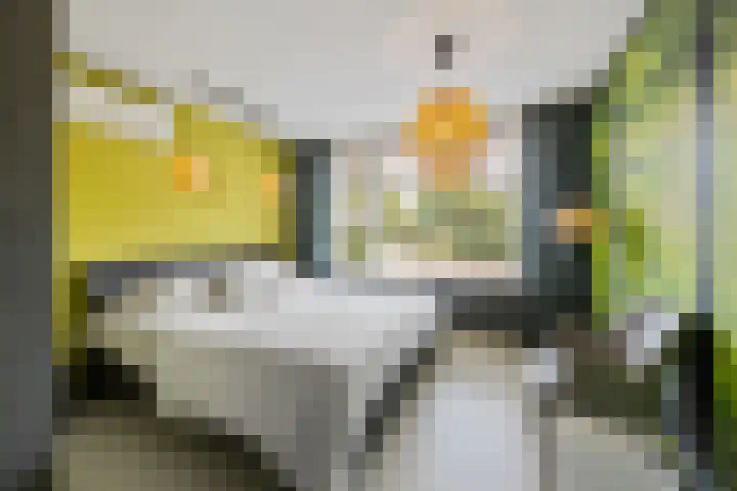 Coorninglaan 18 Druten thumbnail 32