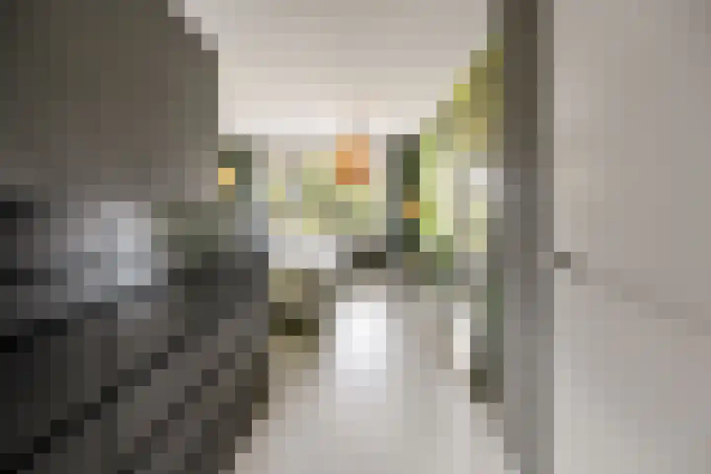 Coorninglaan 18 Druten thumbnail 33