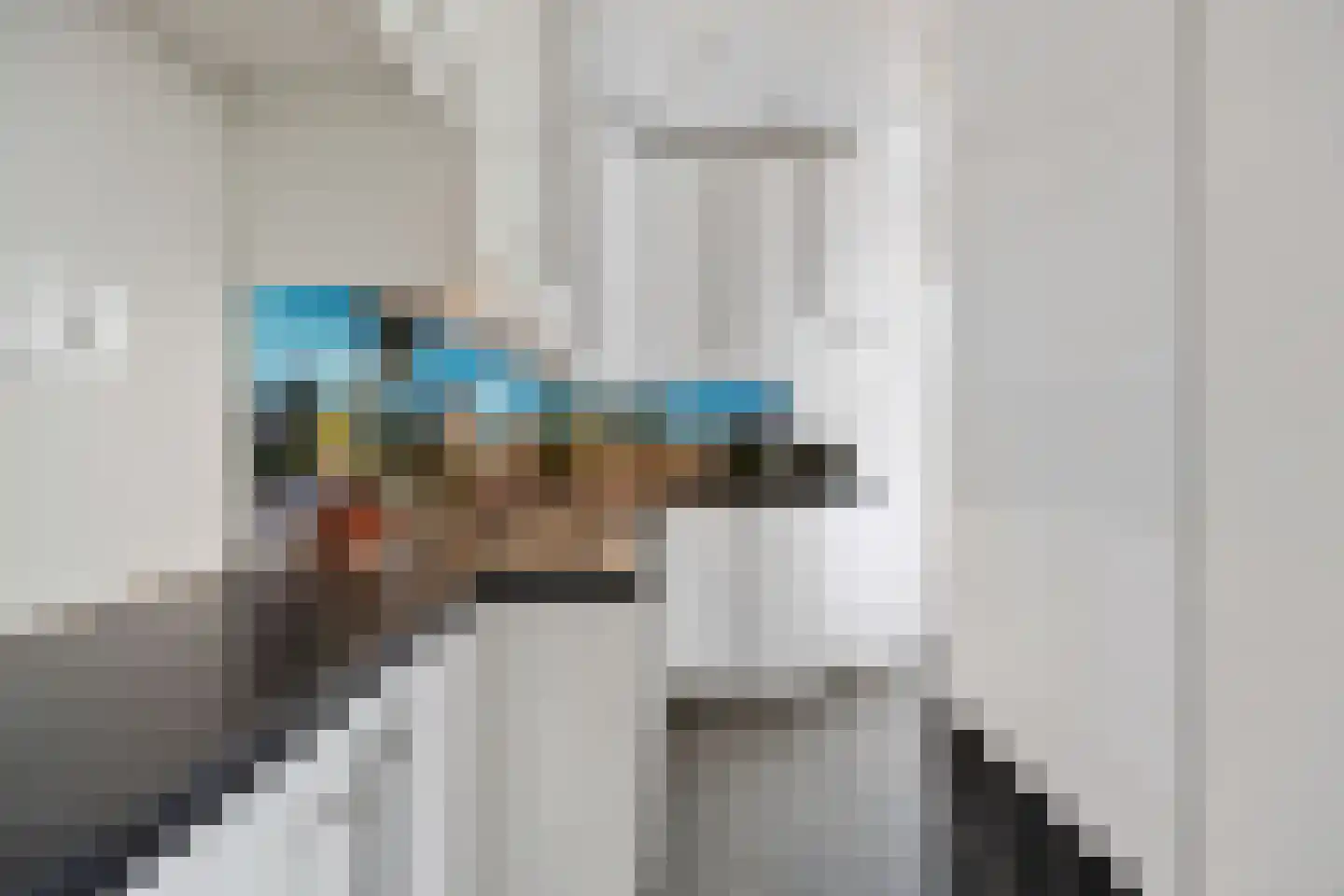 Coorninglaan 18 Druten thumbnail 35
