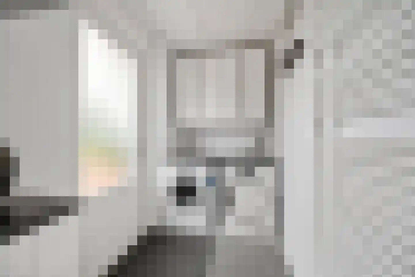 Coorninglaan 18 Druten thumbnail 36
