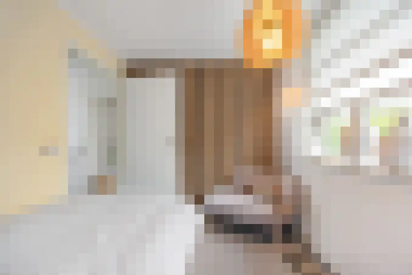 Coorninglaan 18 Druten thumbnail 42