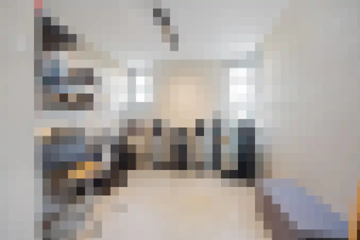 Coorninglaan 18 Druten thumbnail 44