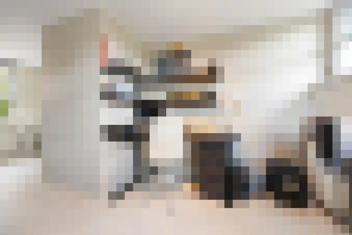 Coorninglaan 18 Druten thumbnail 45