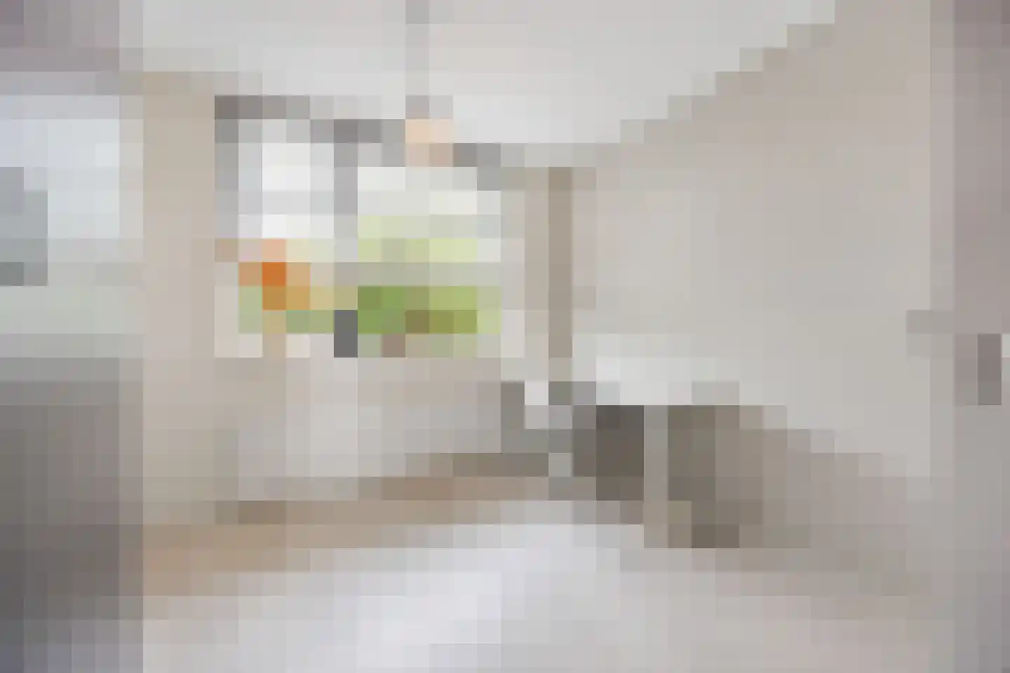 Coorninglaan 18 Druten thumbnail 47