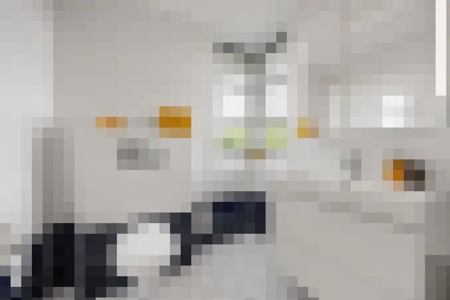 Coorninglaan 18 Druten thumbnail 49