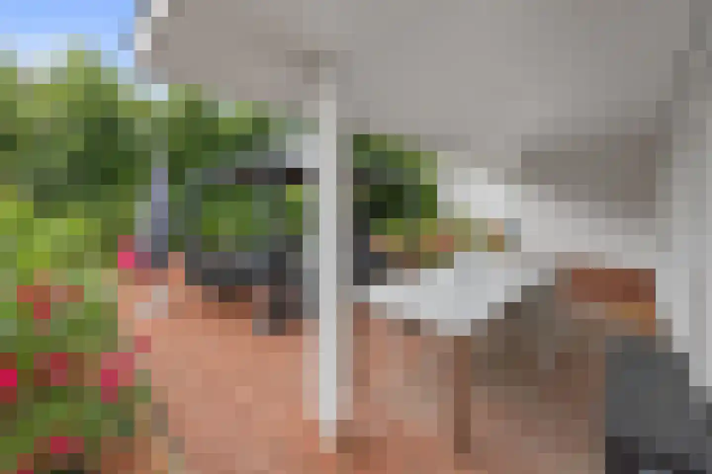 Coorninglaan 18 Druten thumbnail 53