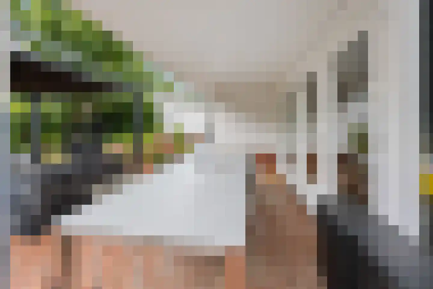 Coorninglaan 18 Druten thumbnail 54