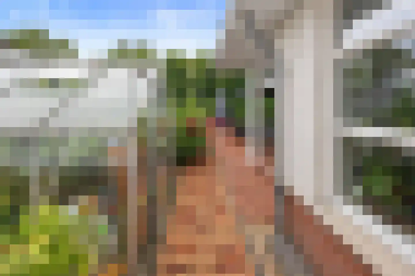Coorninglaan 18 Druten thumbnail 57