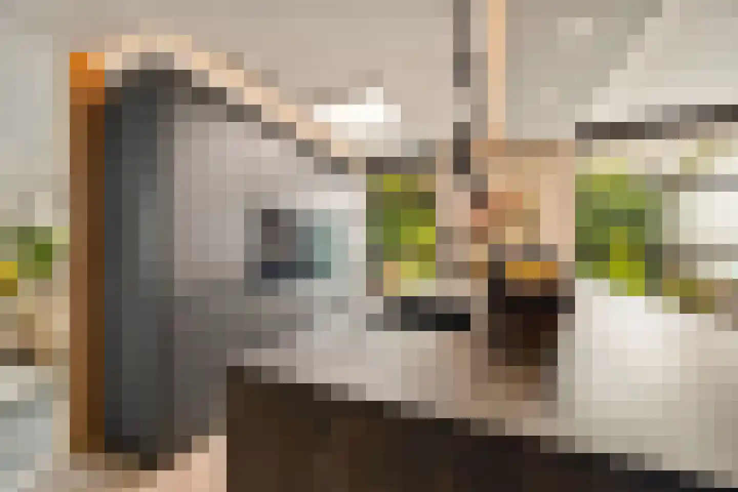 Coorninglaan 18 Druten thumbnail 6