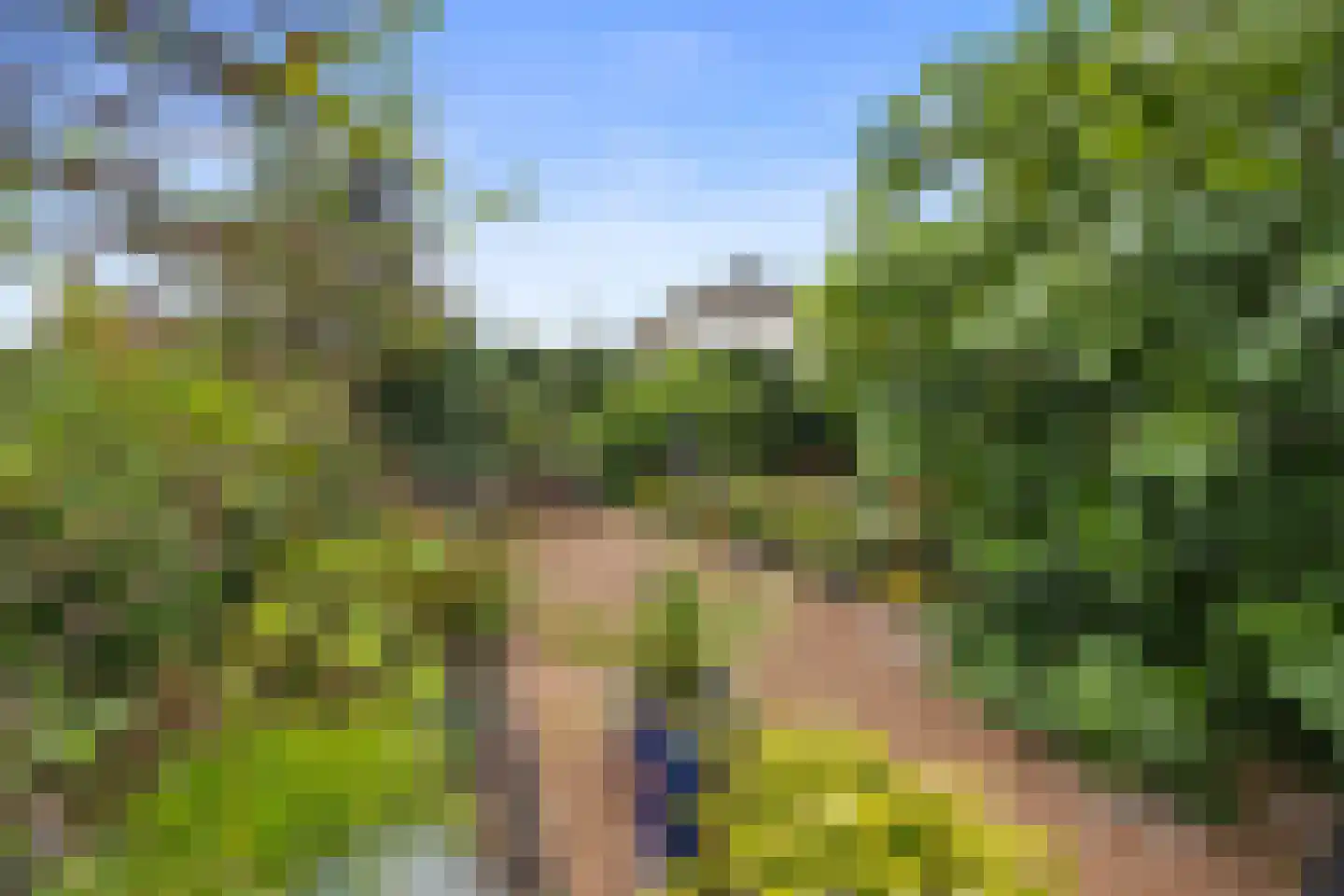 Coorninglaan 18 Druten thumbnail 63