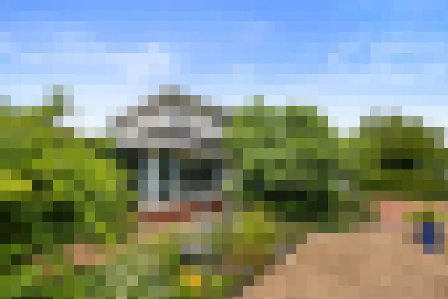 Coorninglaan 18 Druten thumbnail 64