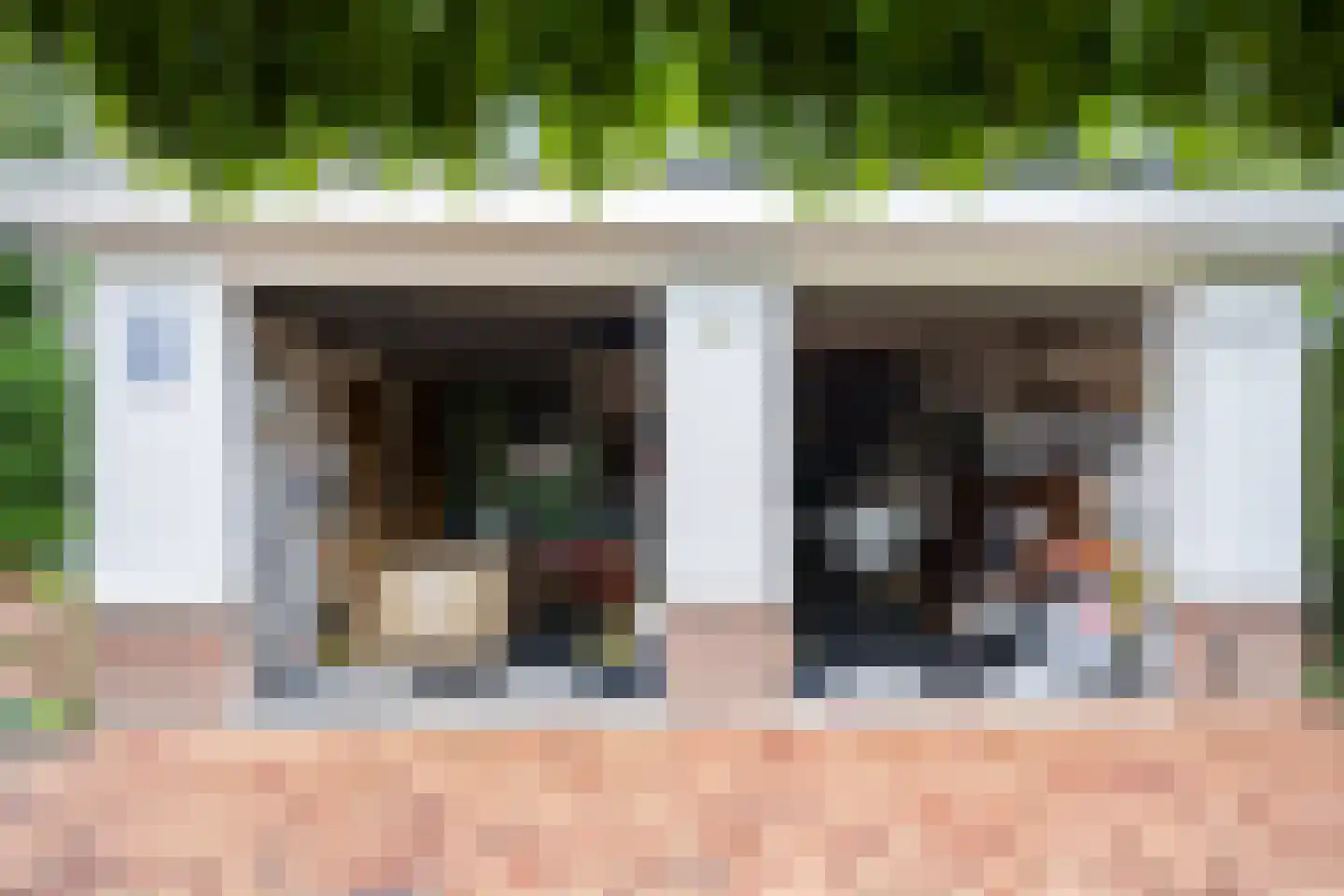 Coorninglaan 18 Druten thumbnail 66