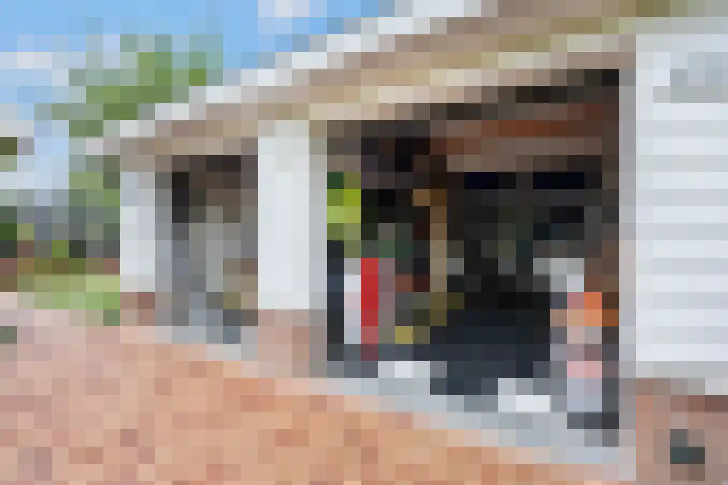 Coorninglaan 18 Druten thumbnail 67