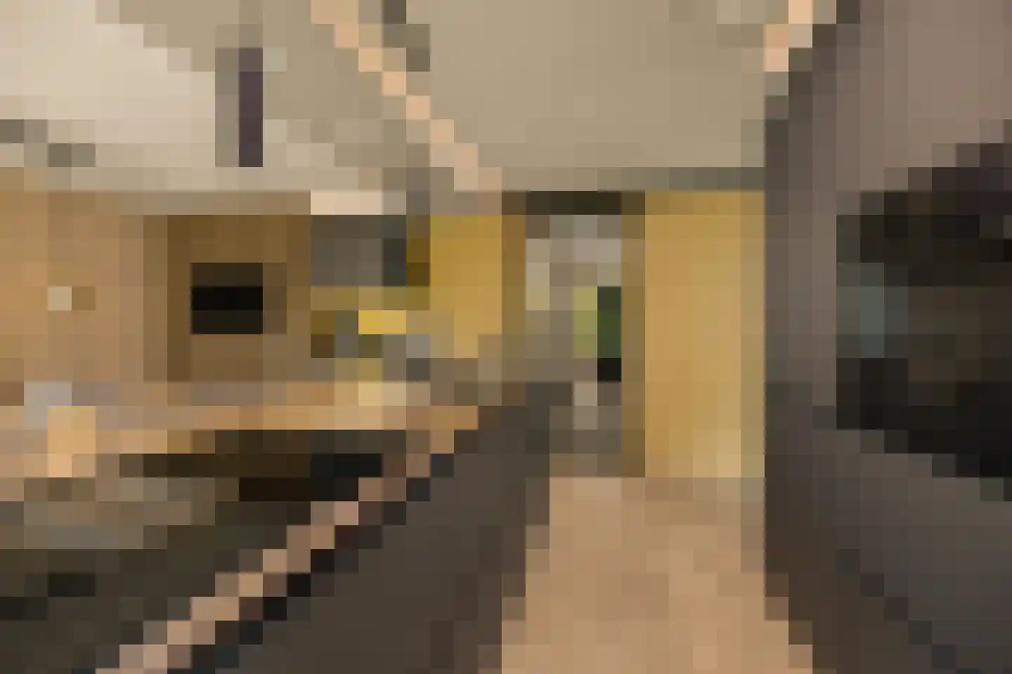 Coorninglaan 18 Druten thumbnail 7