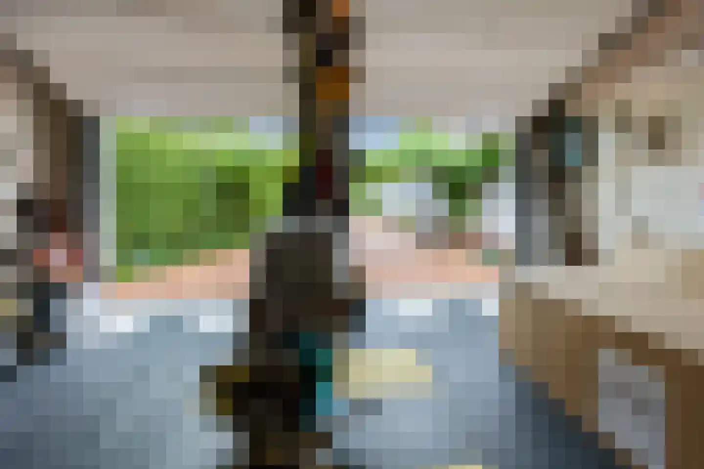 Coorninglaan 18 Druten thumbnail 71
