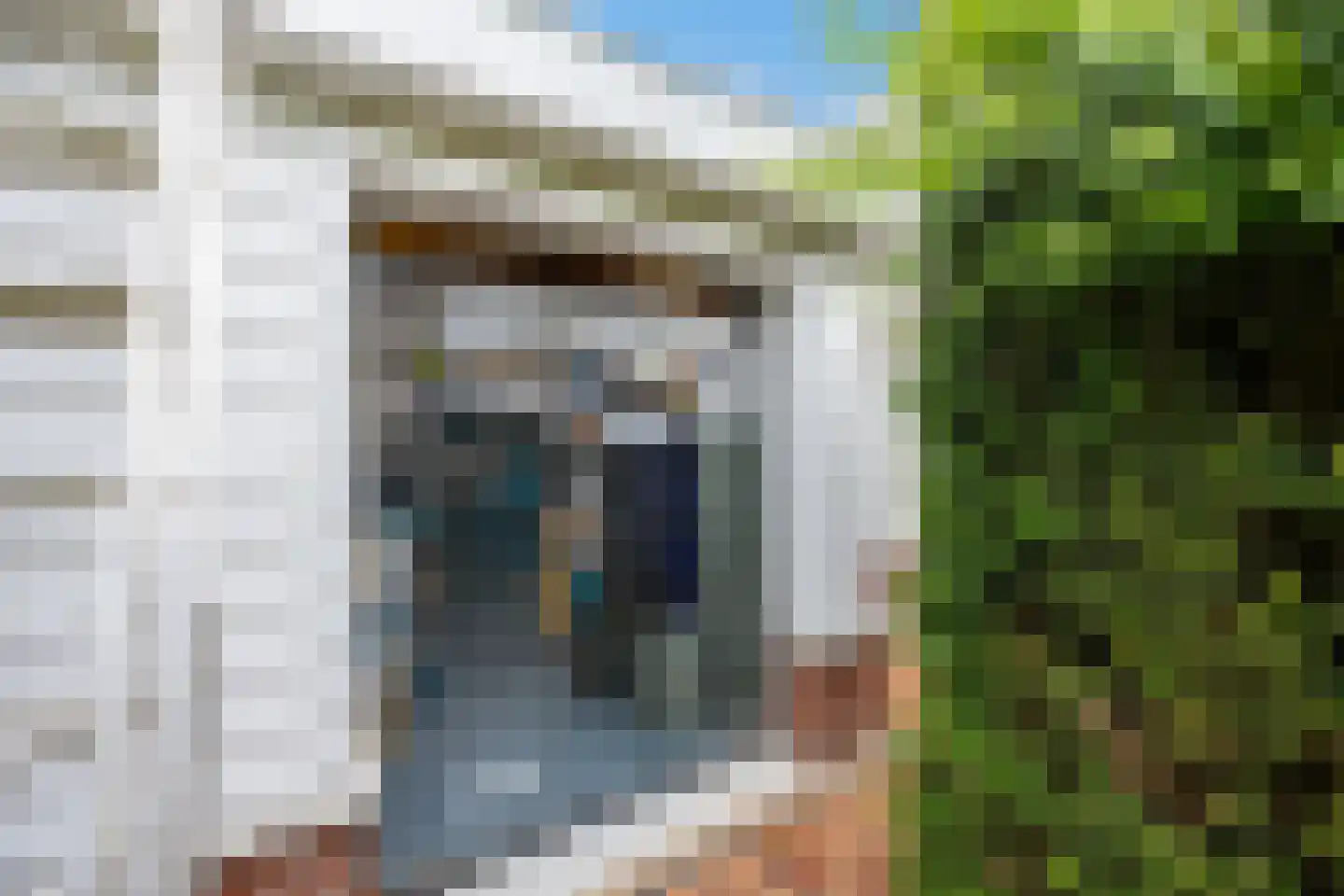 Coorninglaan 18 Druten thumbnail 73
